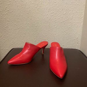 New RAYE Pointed Toe Mules